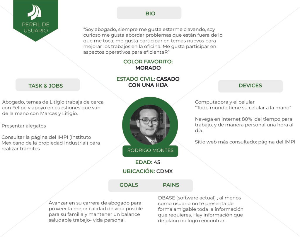 Perfil de usuario_PPM
